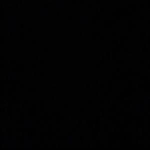 Meet your Posher, Chanel